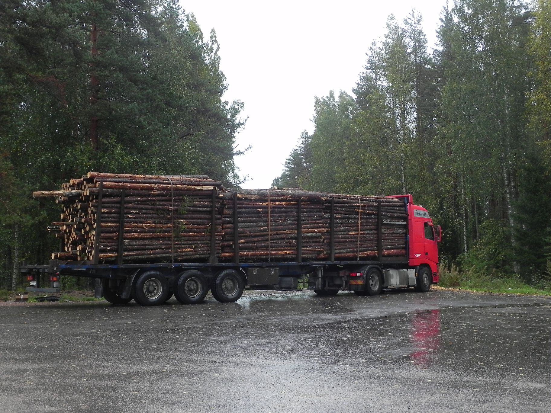 Водитель автомобиля на вывозке леса обязанности